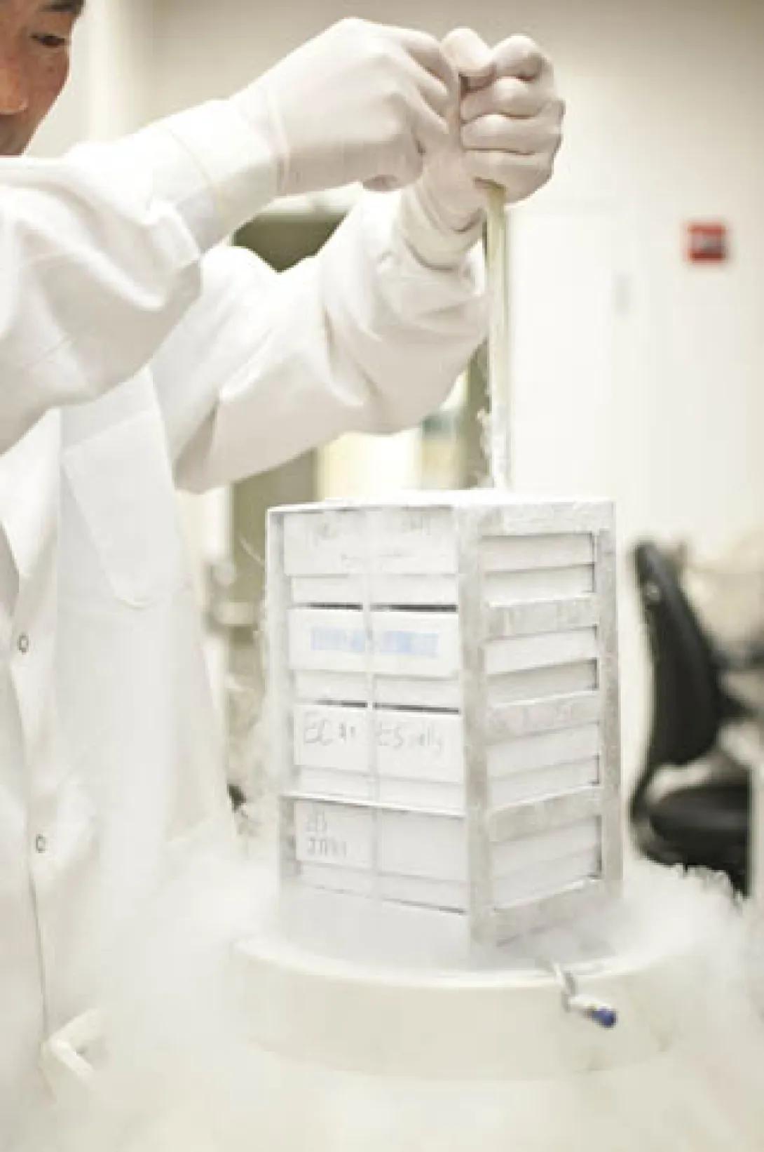 Lab equipment being pulled from liquid nitrogen