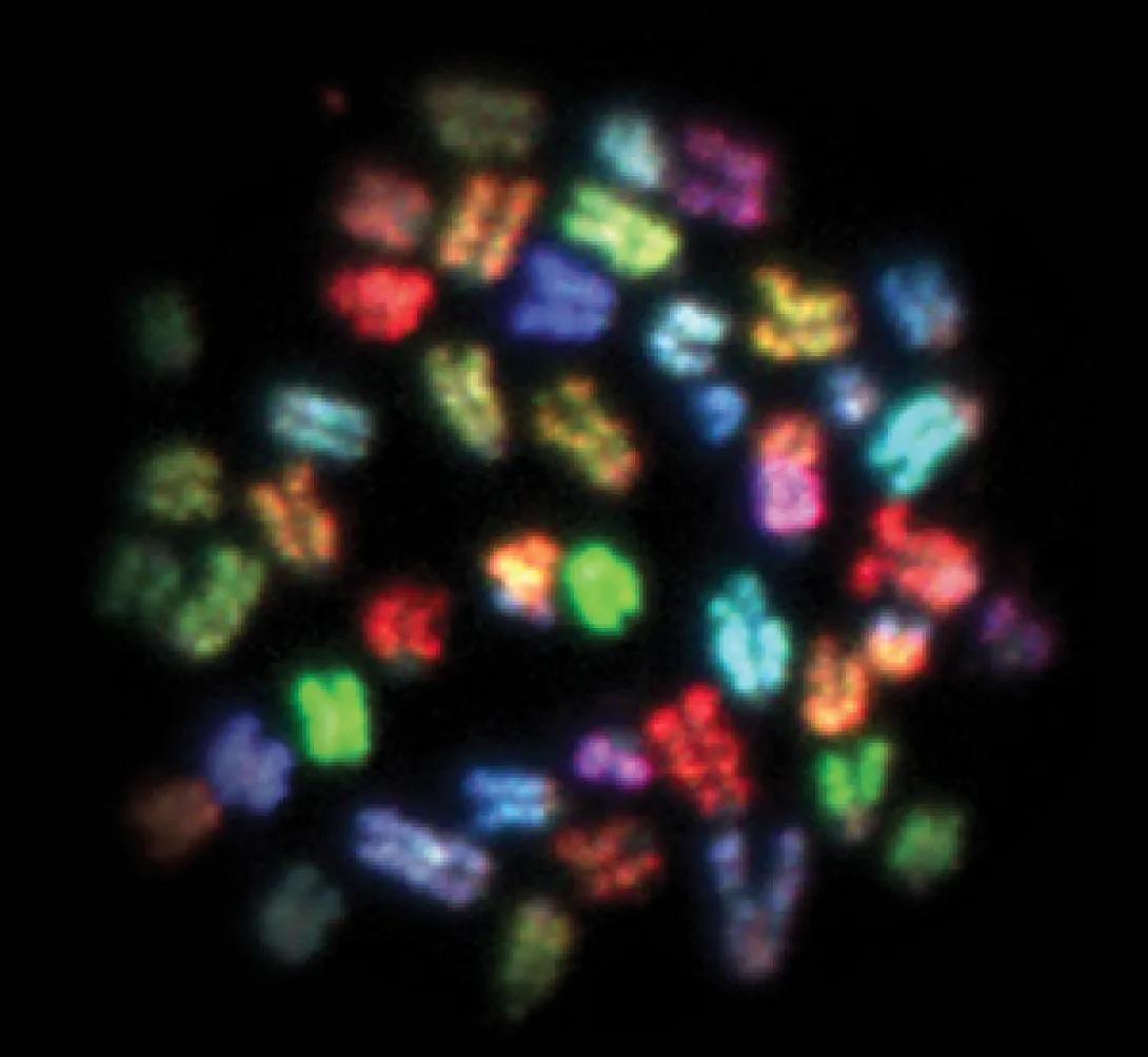 Genetics and Genomics Initiative
