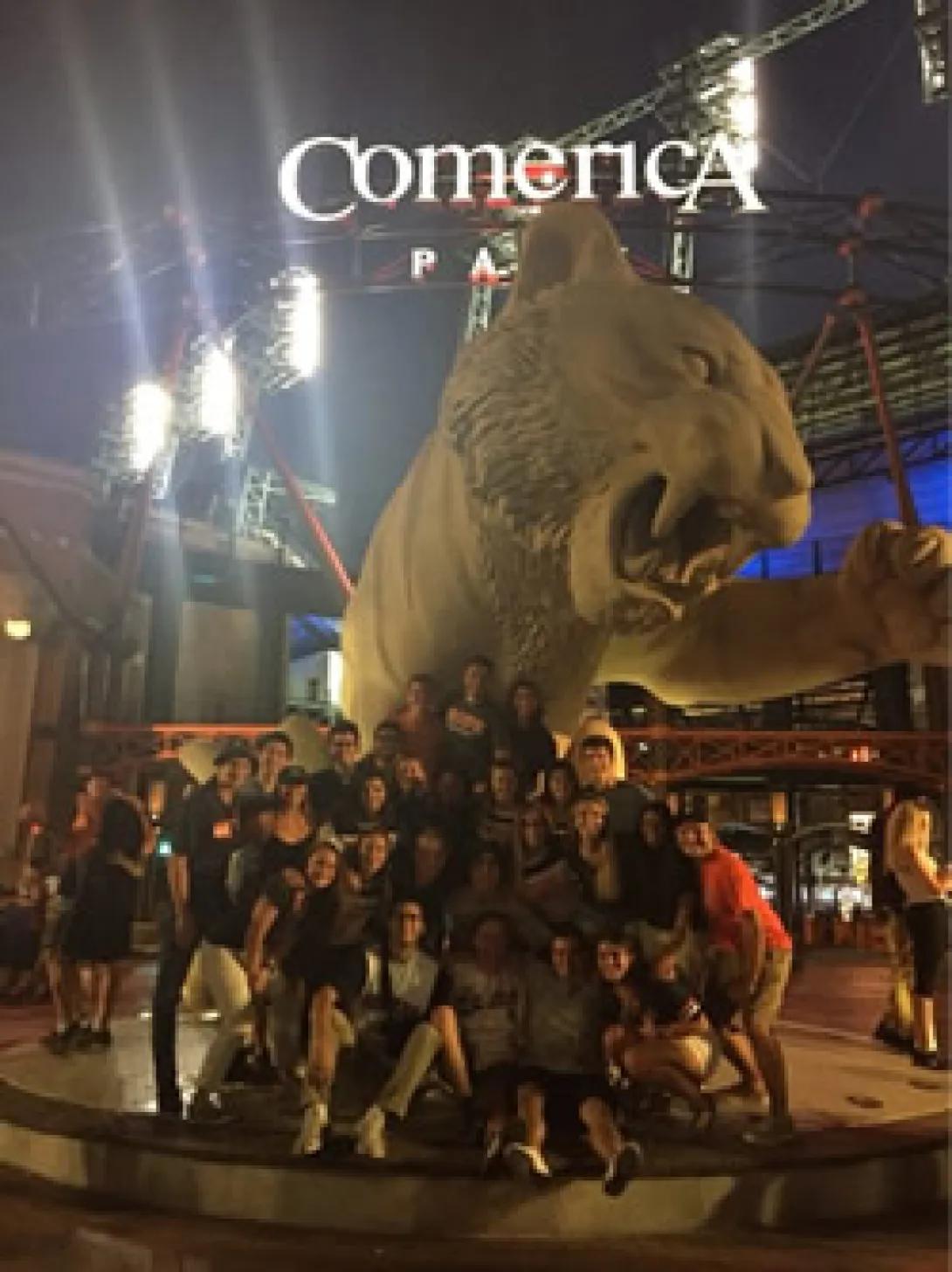 Tigers game