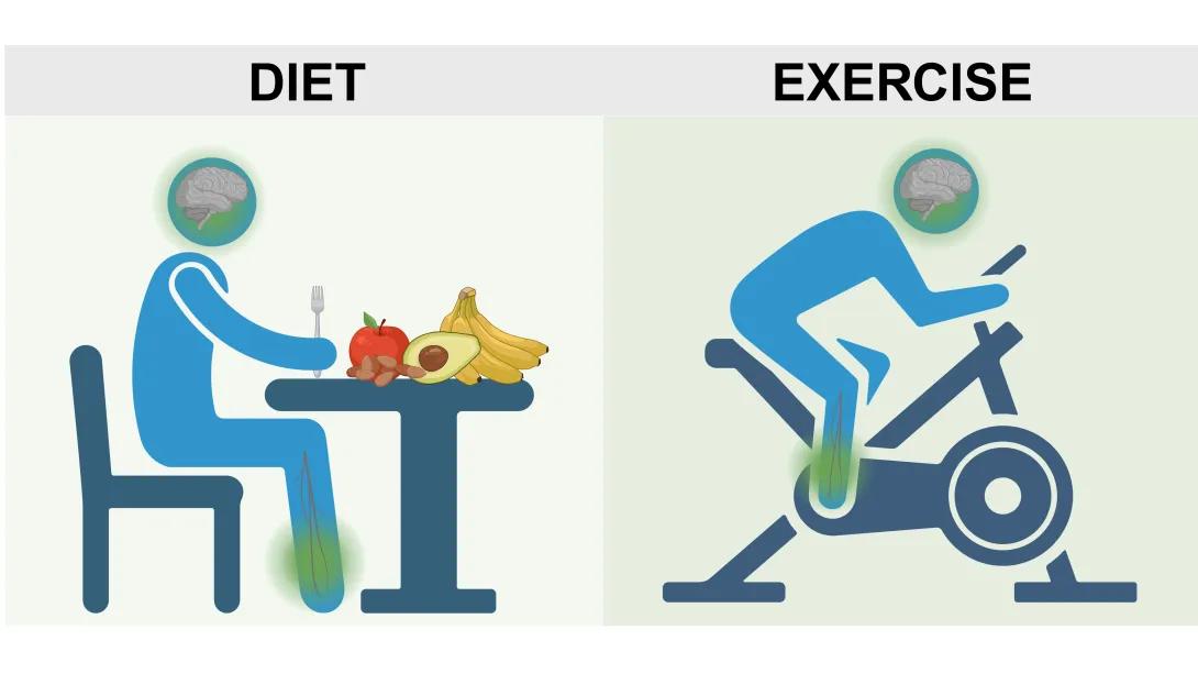lifestyle intervention graphic that includes diet and excercise