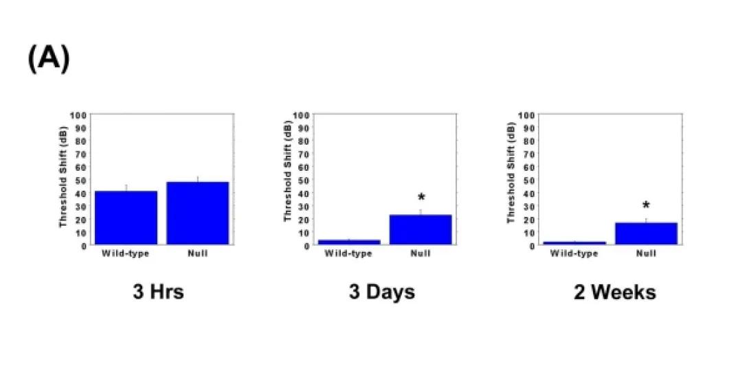 khri_altschulerlab_hsf1knockout