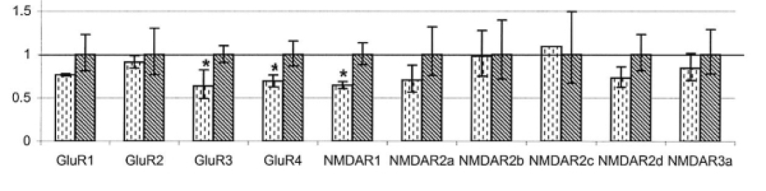 khri_altschulerlab_neurotransmission3