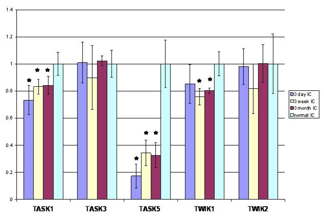 khri_altschulerlab_neurotransmission4