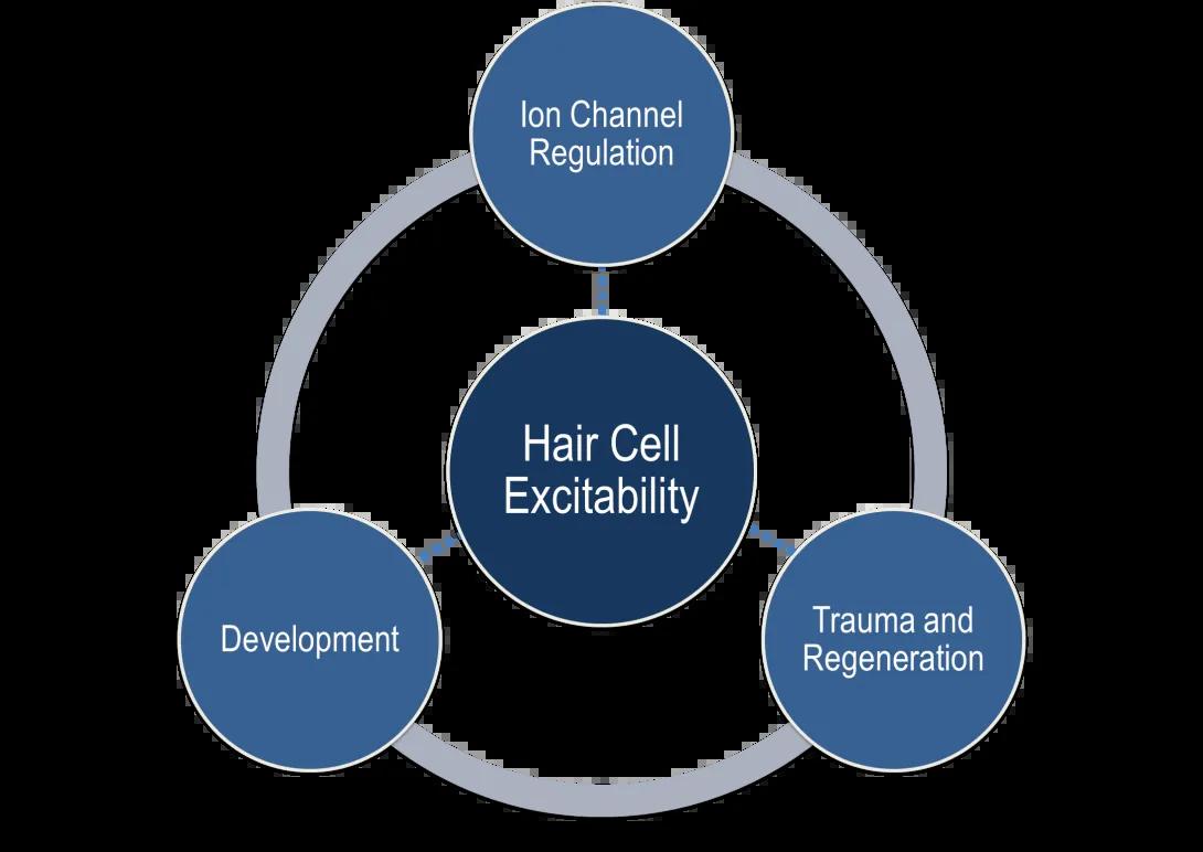khri_duncanlab_homepagegraphic_1