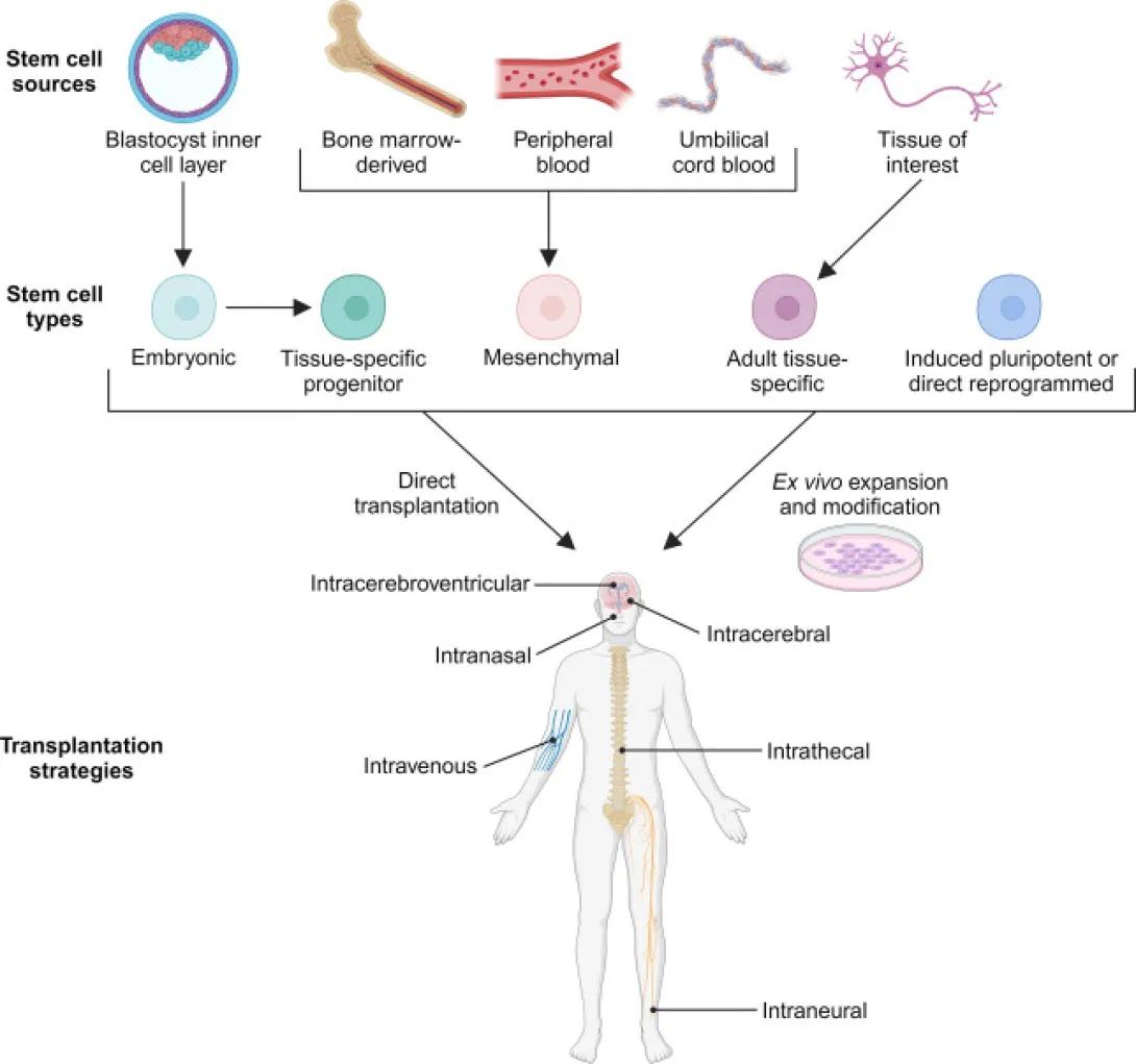 The Latest on Stem Cell & Gene Therapy | University of Michigan