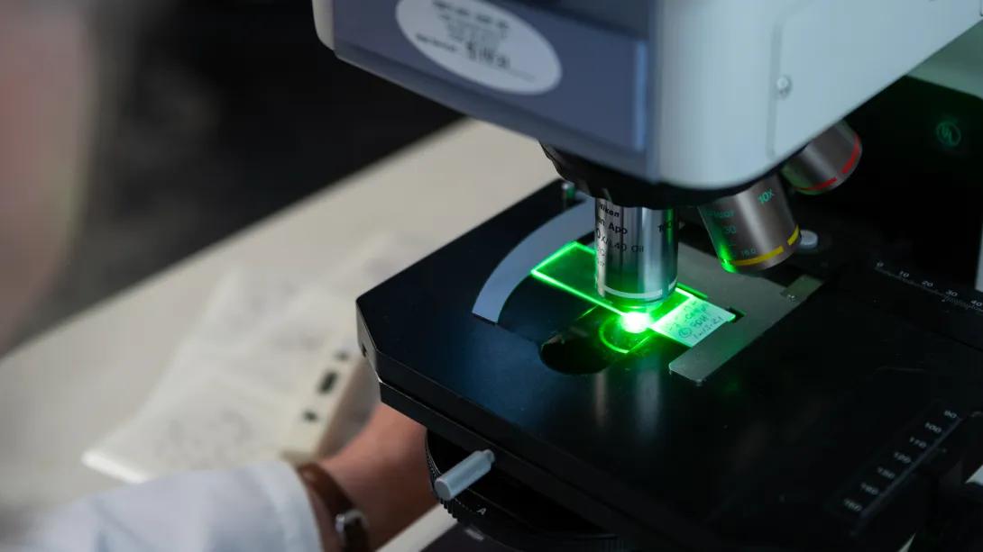close up of microscope in lab
