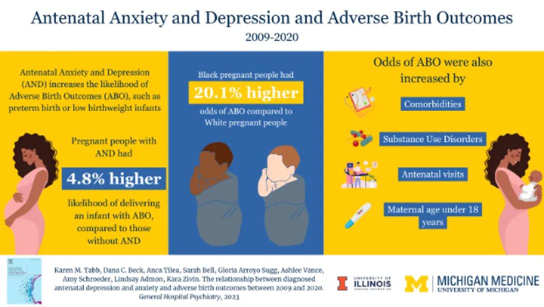 Infographic on Adverse Birth Outcomes.