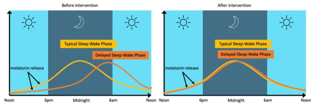 Graphics illustrating the project intervention and sleep-wake phases