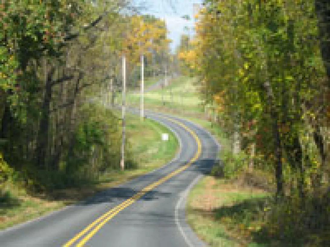 curvy, empty road through the trees
