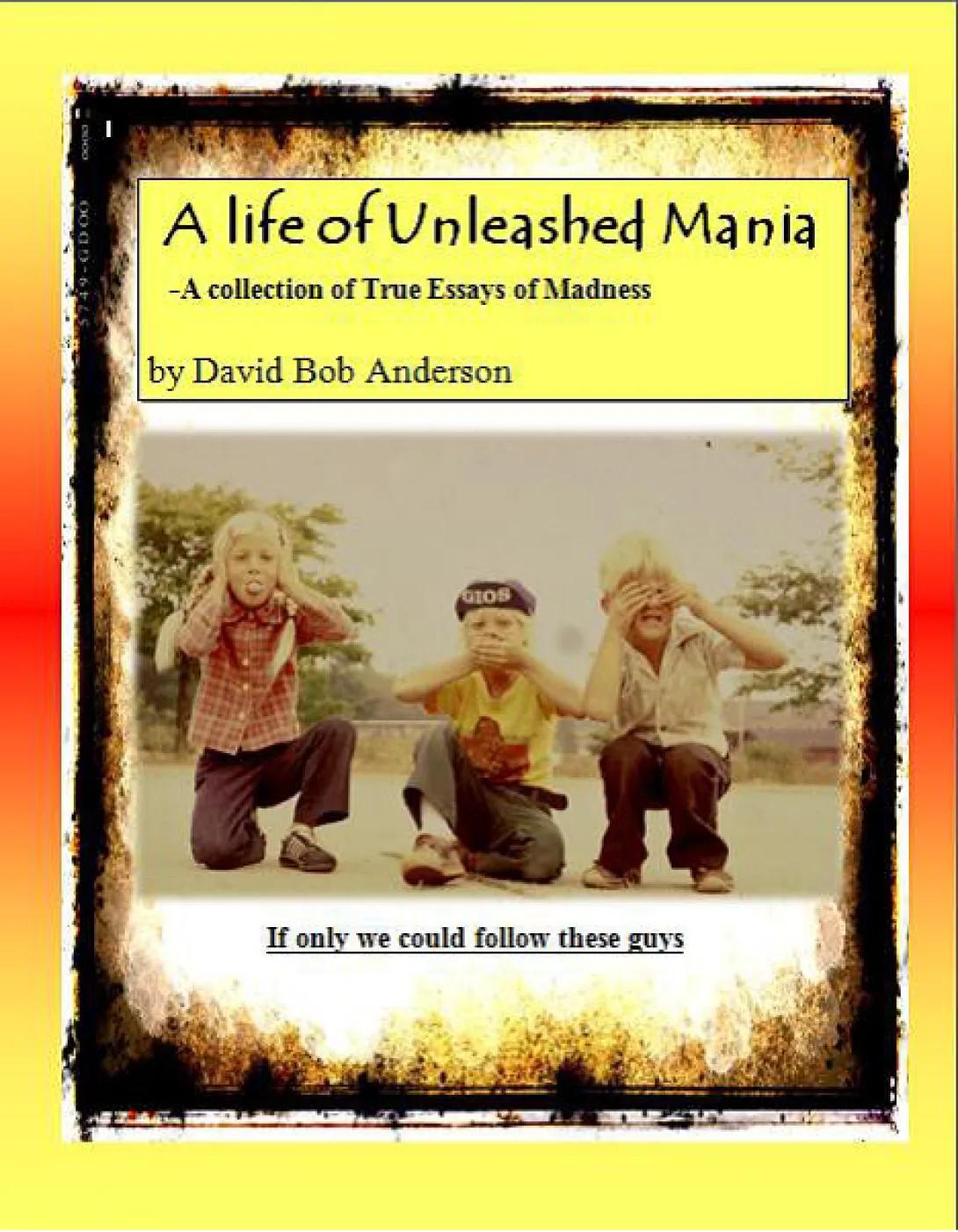 book cover art for A Life of Unleased Mania