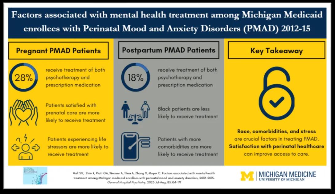 Factors associated with mental health treatment among Michigan Medicaid enrollees 
