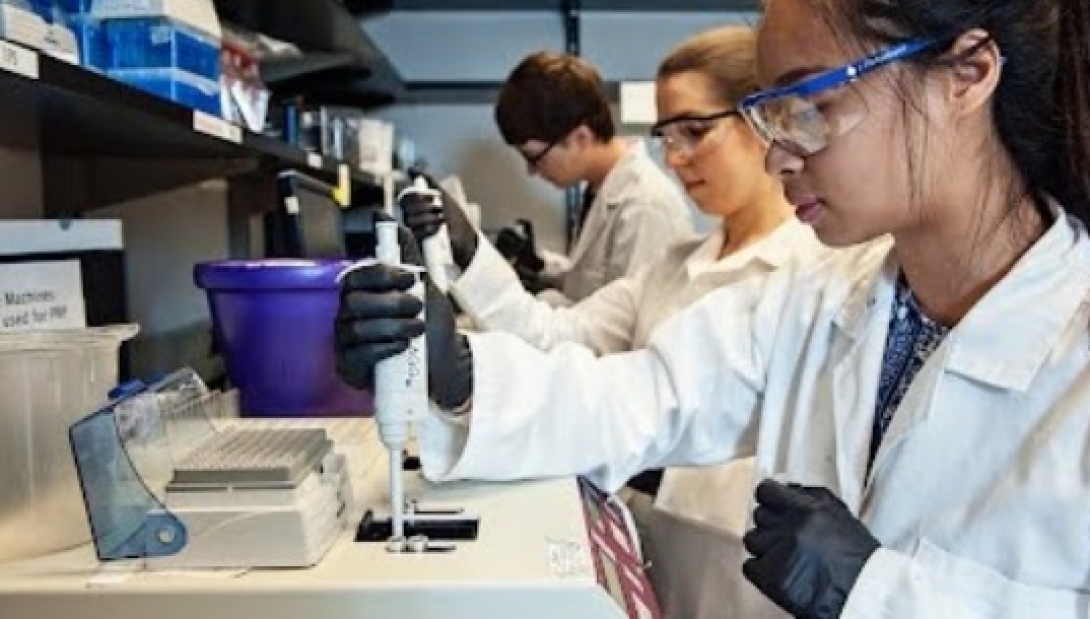 A group of research working in a lab.