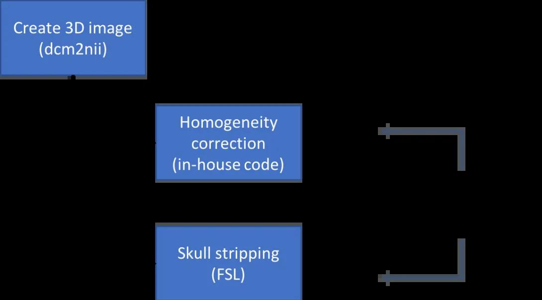 fMRI Anatomy Pre-Processing Diagram