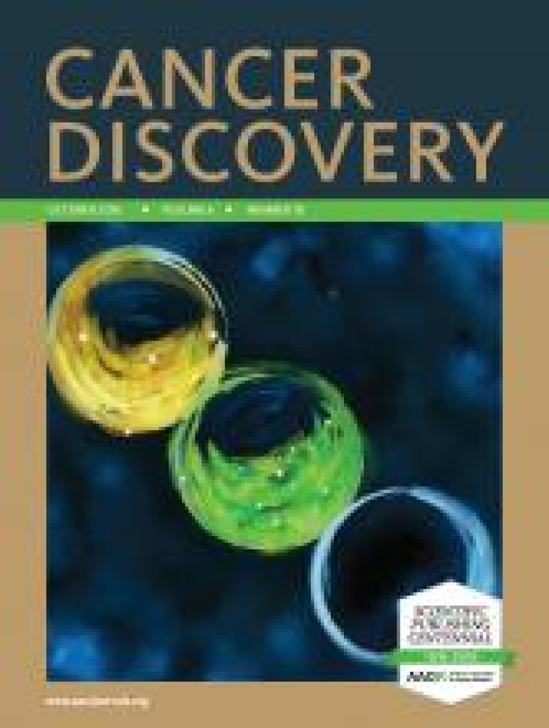 highlighted_in_cancer_discovery_2016._autophagic_pancreatic_stellate_cells_promote_pancreatic_tumour_growth