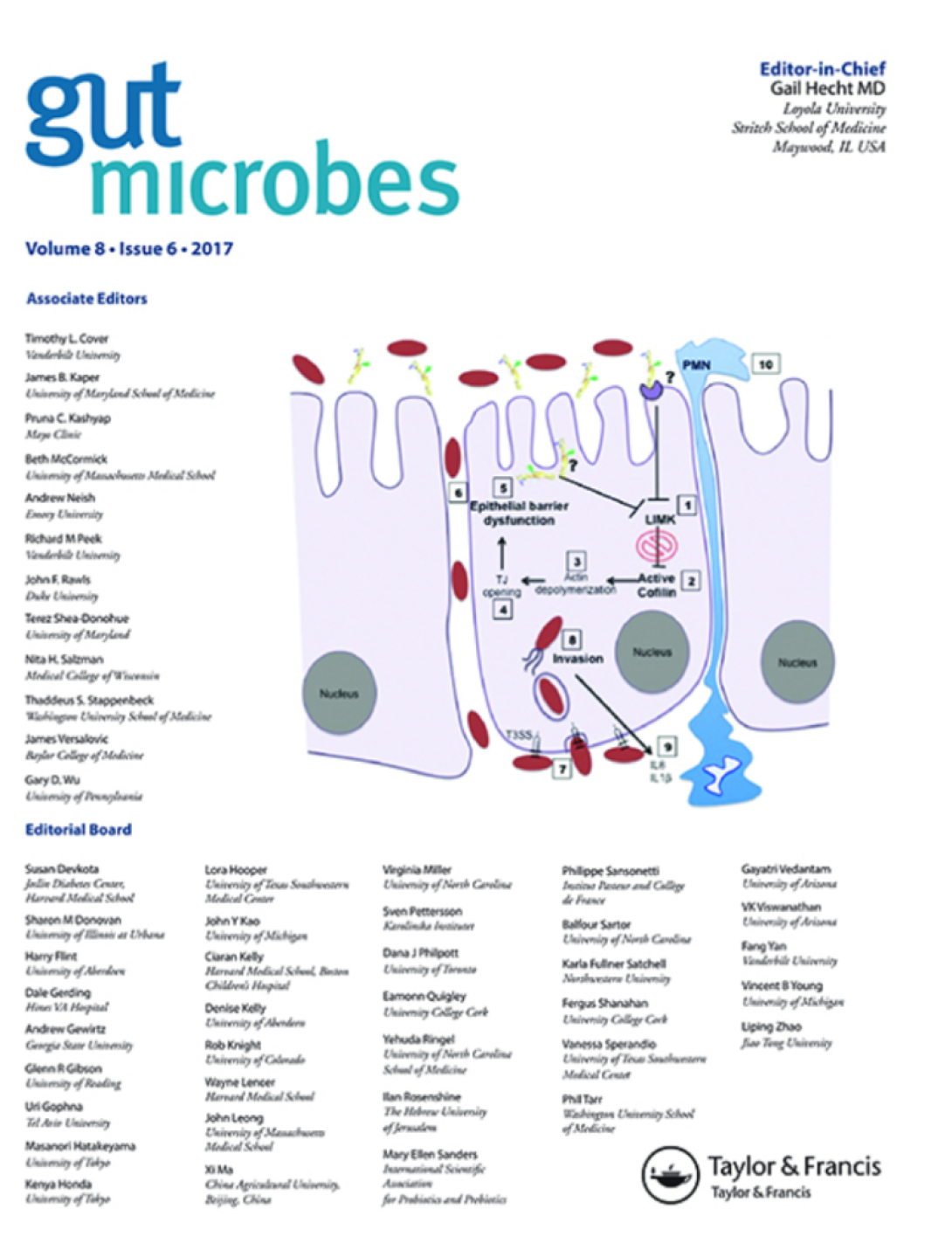 highlighted_in_gut_microbes