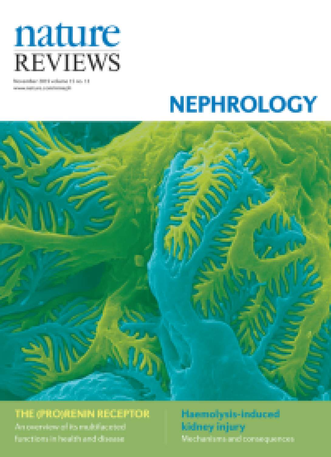 highlighted_in_nature_reviews_nephrology