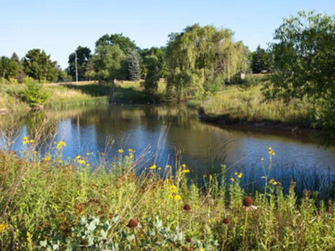 NCRC garden landscape