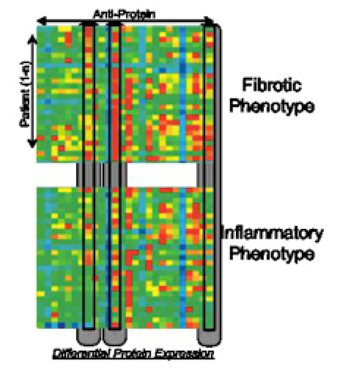 Stidham Research Image callout 2