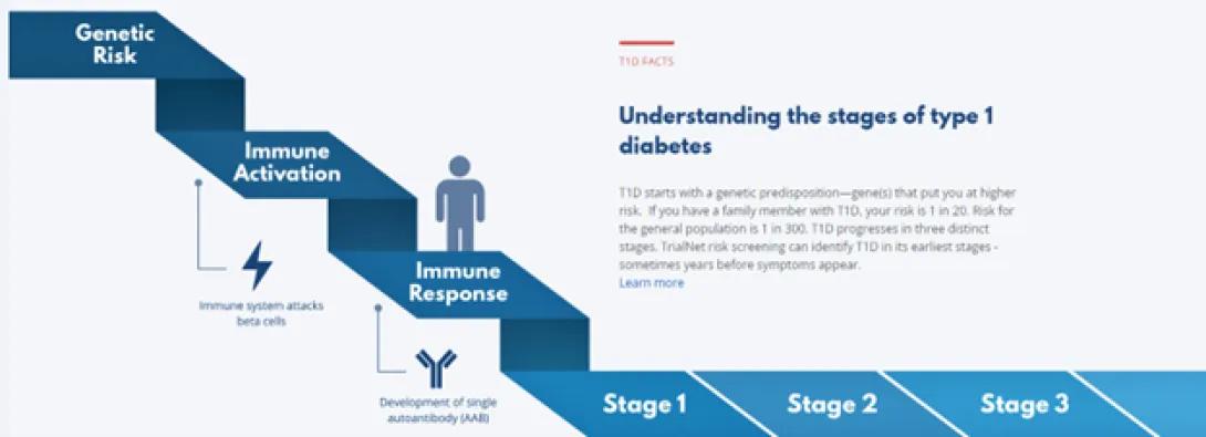 Infographic detailing progression of T1D