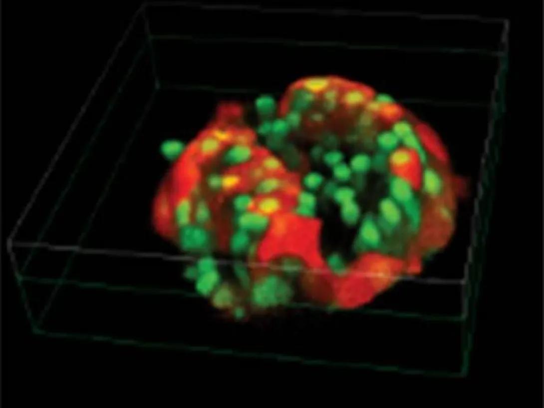 scientific image