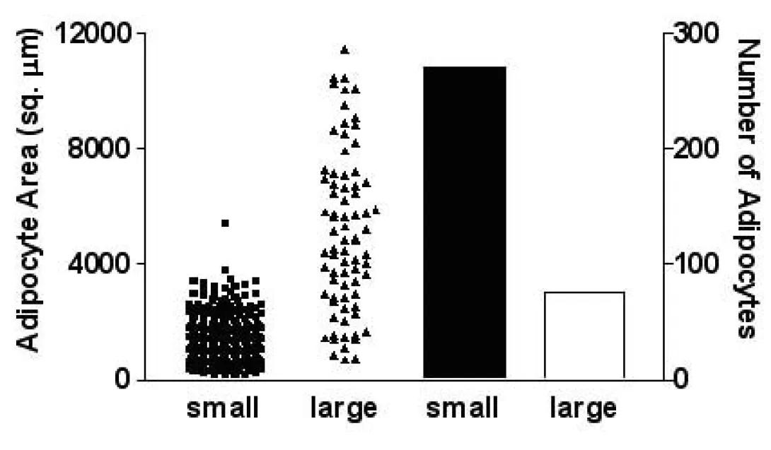 scientific image