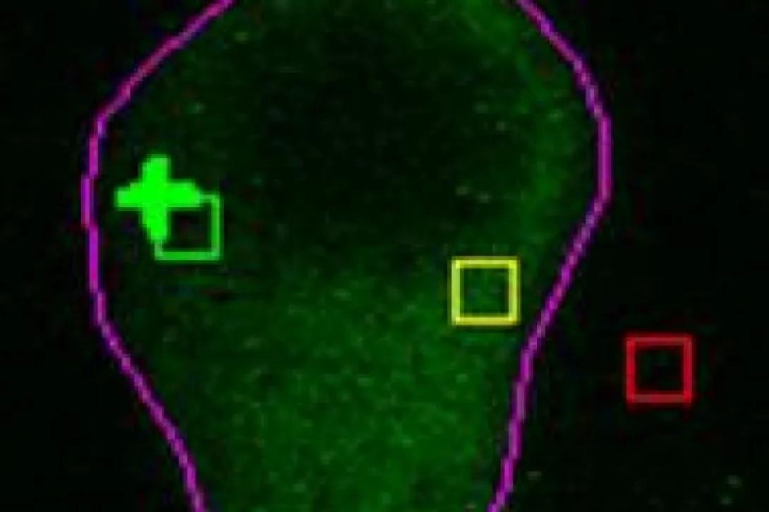scientific image
