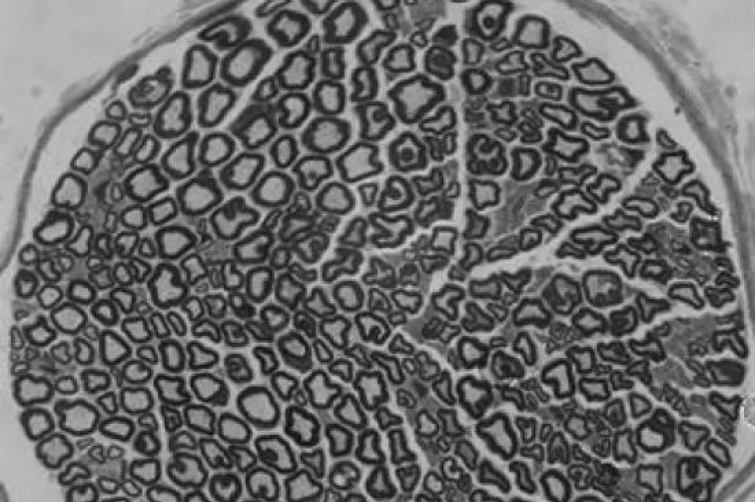 scientific image
