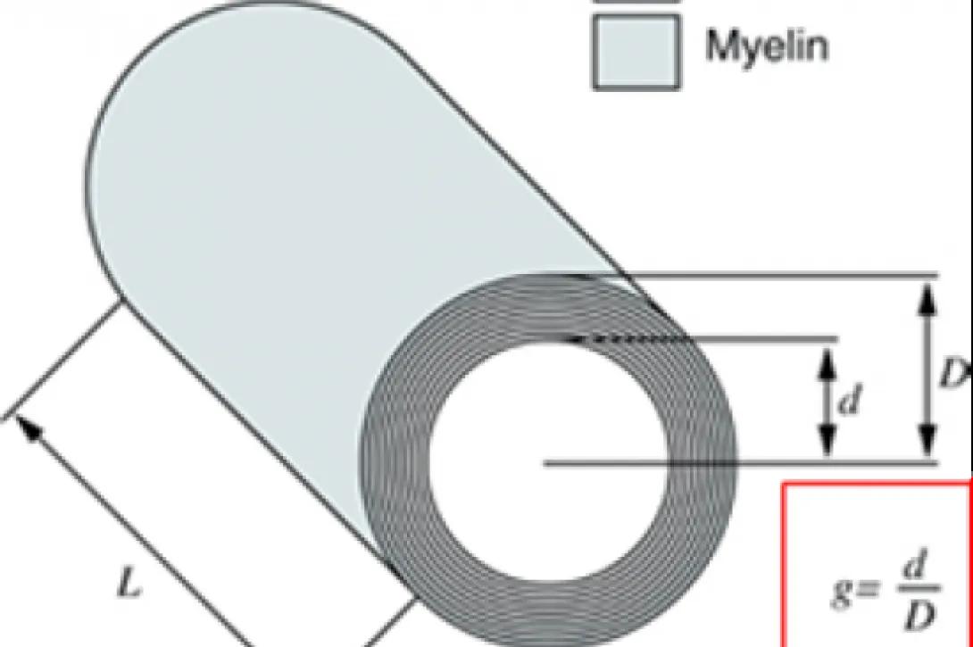 scientific image
