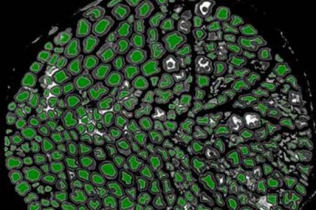 scientific image