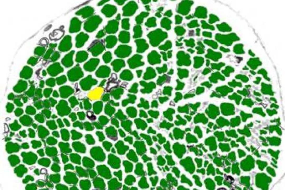 scientific image
