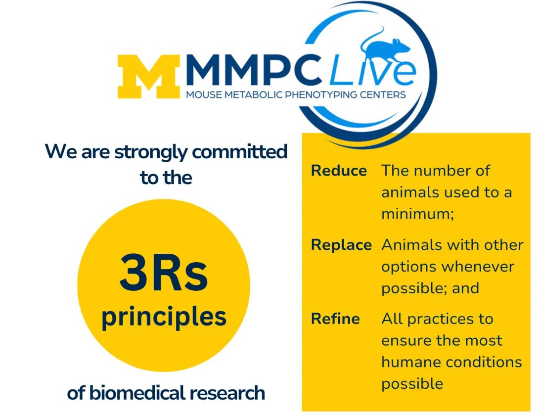 3rs principles graphic