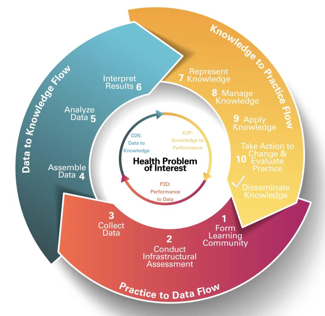 info graphic showing the operationalization of the LHS system focused on the health problem of interest