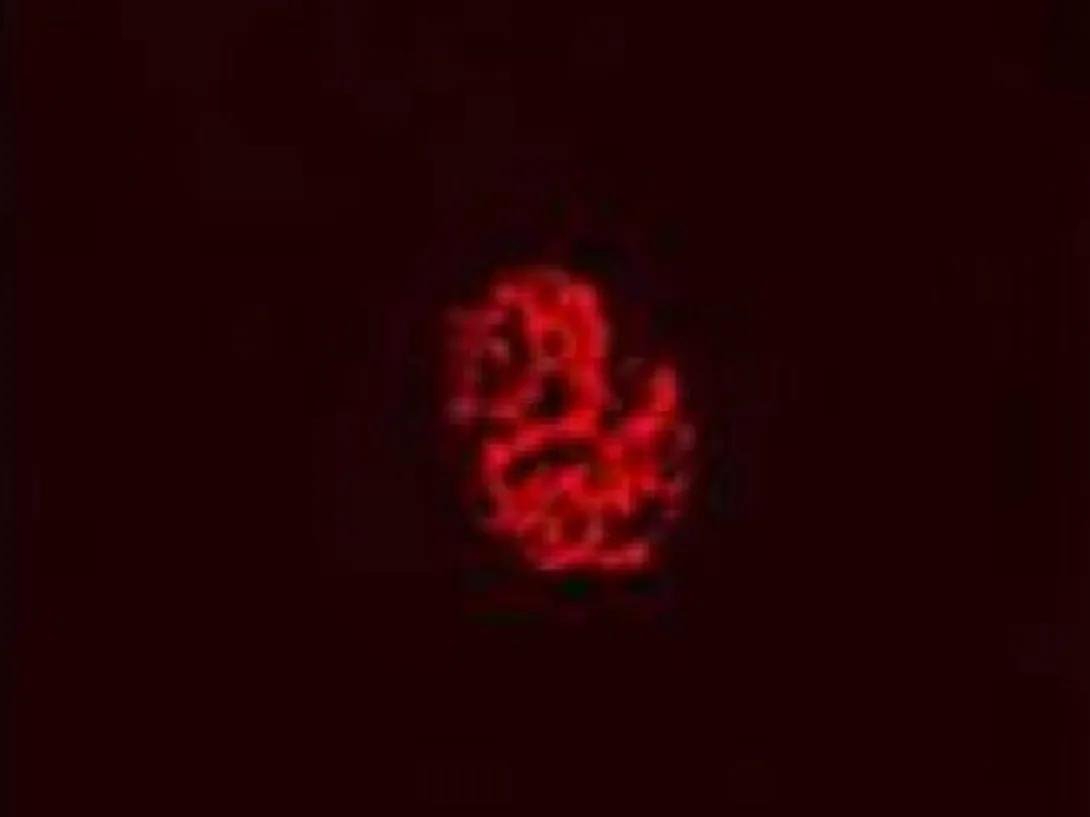 scientific image