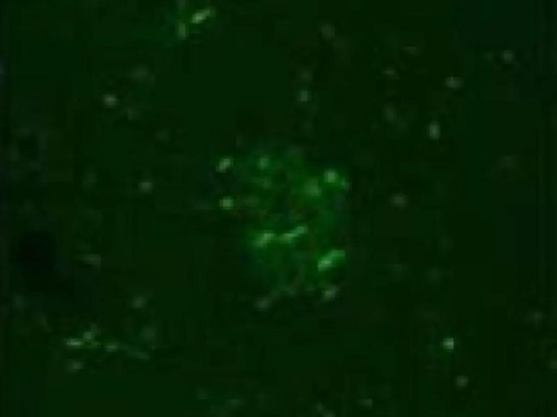 scientific image