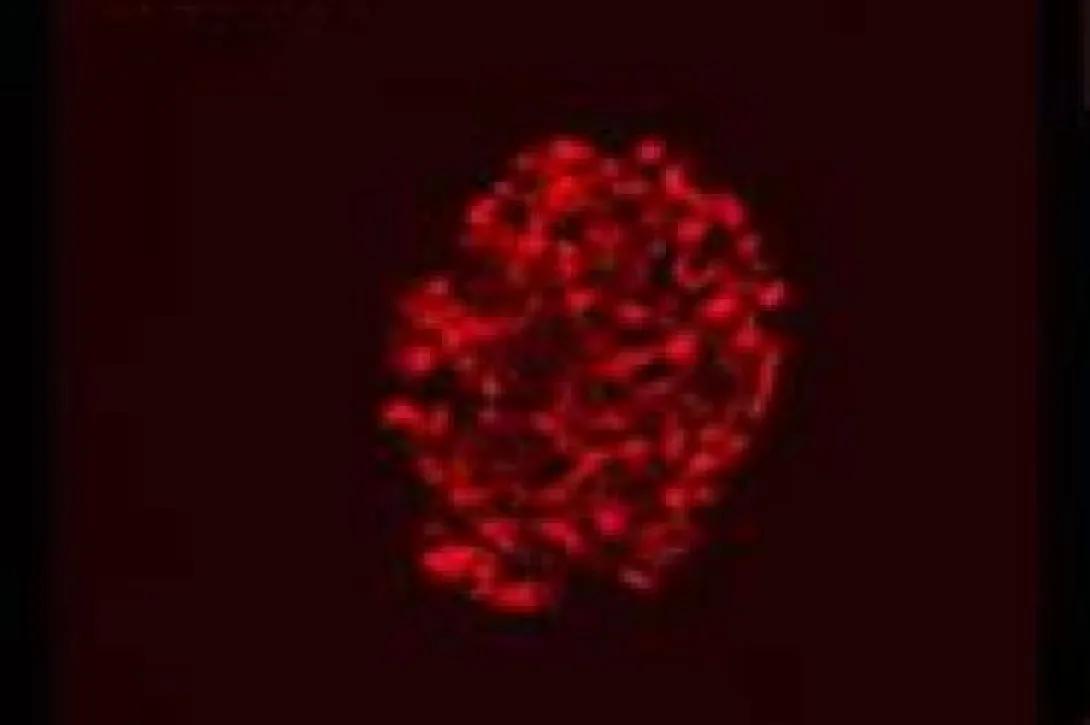 scientific image