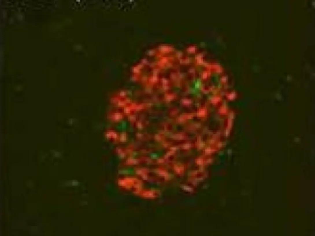 scientific image