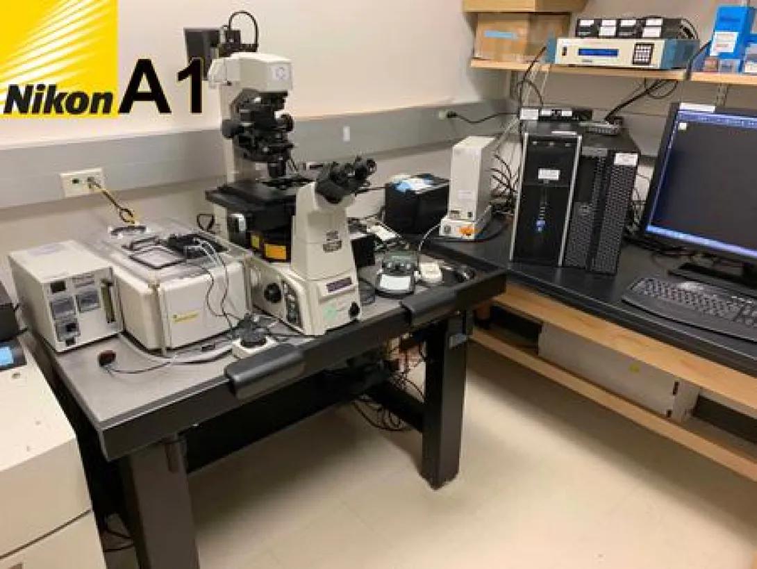 Photo of the Nikon TiE Widefield Imaging System in a laboratory