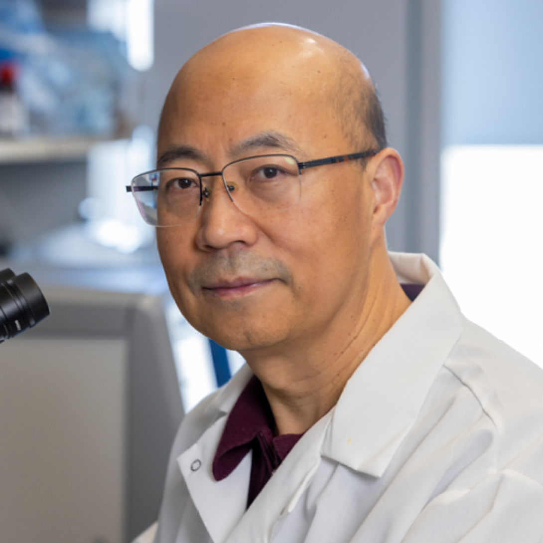 Biaoxin Chai, PhD