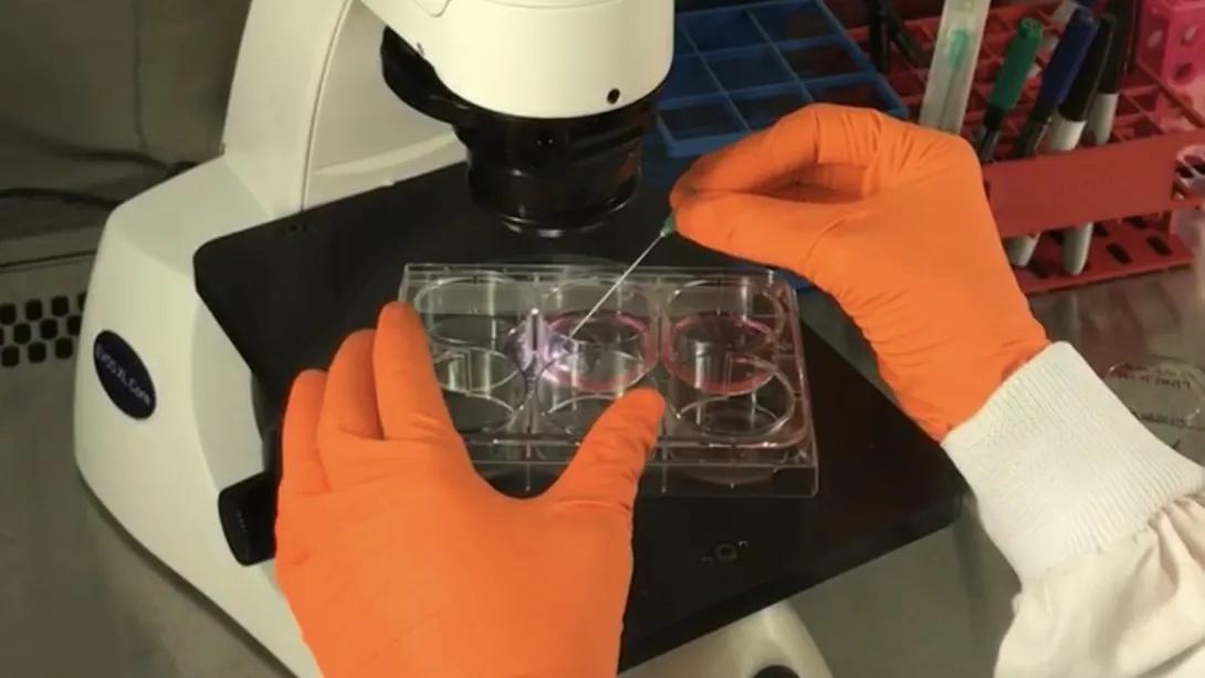 Lab member viewing a sample under a microscope in the lab