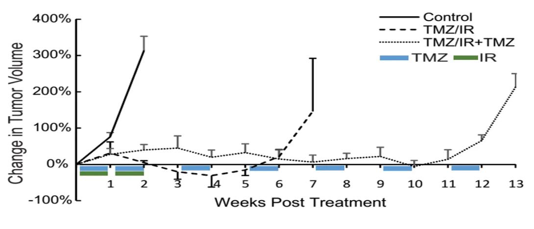 Treatment of Patient Derived Tumors in Mouse Models