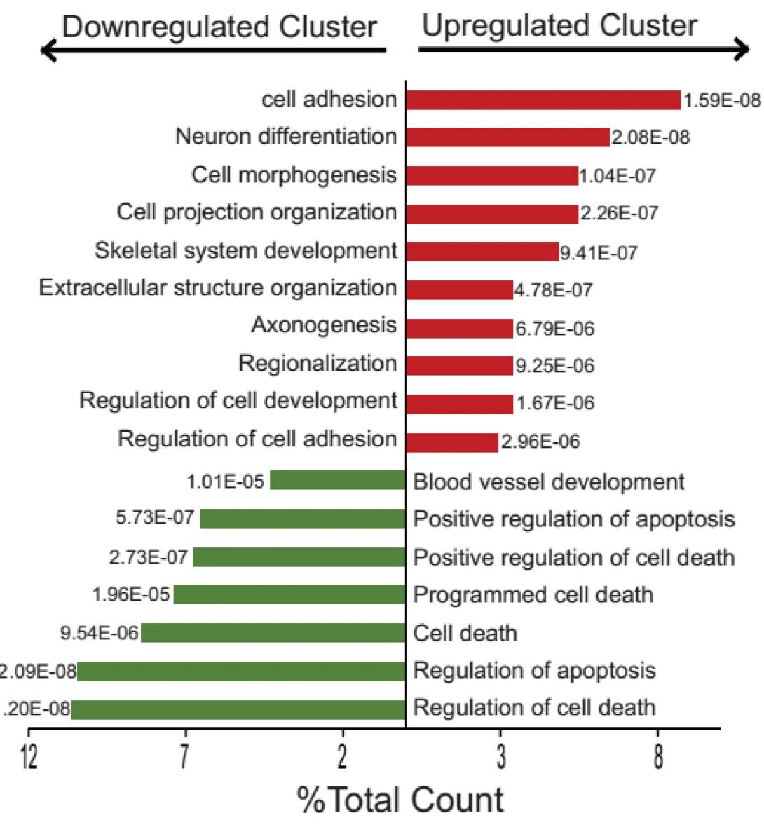 Whole Genome Analysis of Differentially Expressed Genes in Tumors Refractory to Treatment