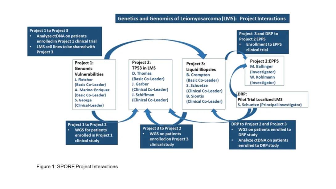LMS-spore-project-interactions