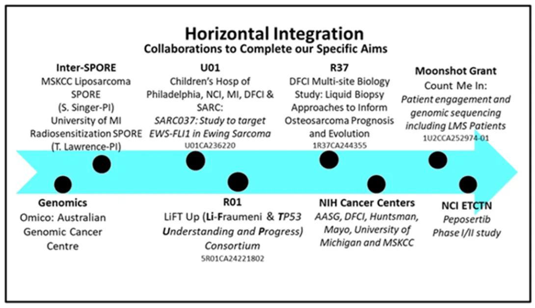 LMS SPORE Figure 2 collaborations
