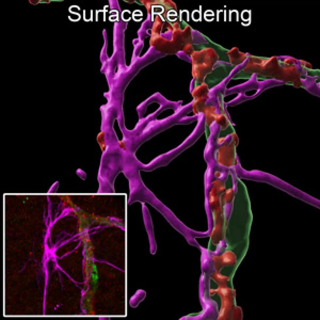 science imagery
