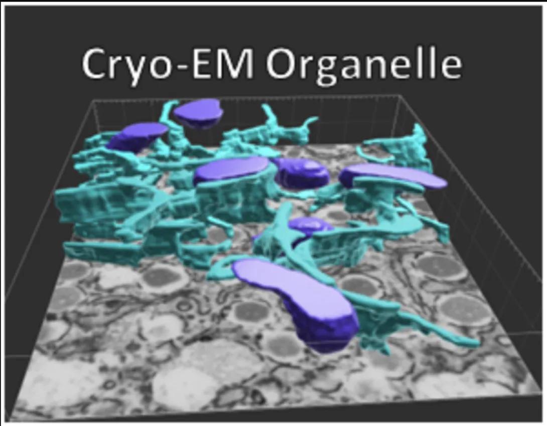 science imagery