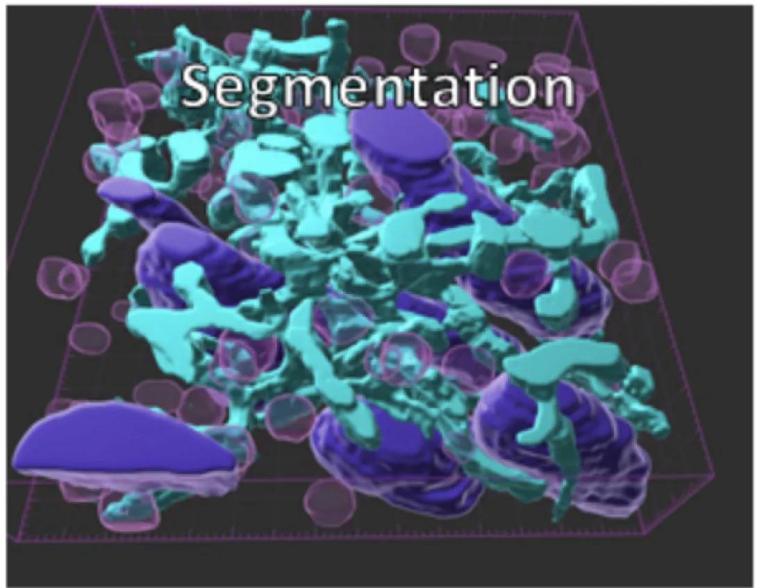 science imagery
