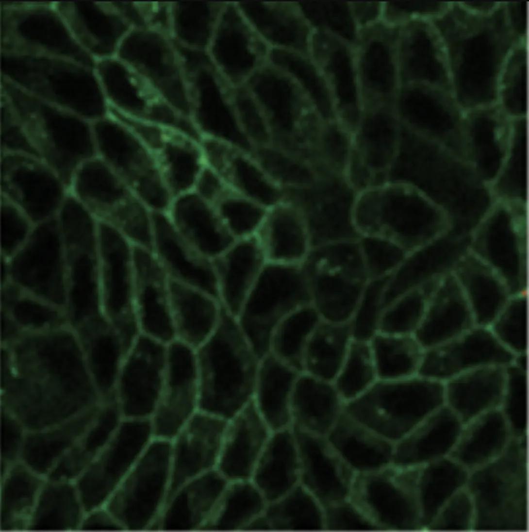 science imagery