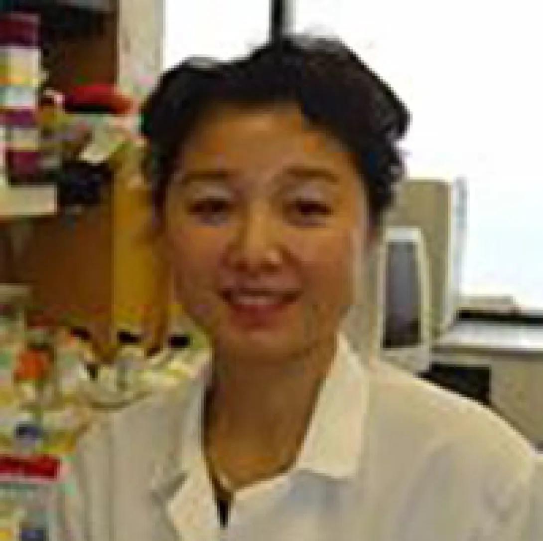 Liwei Boa