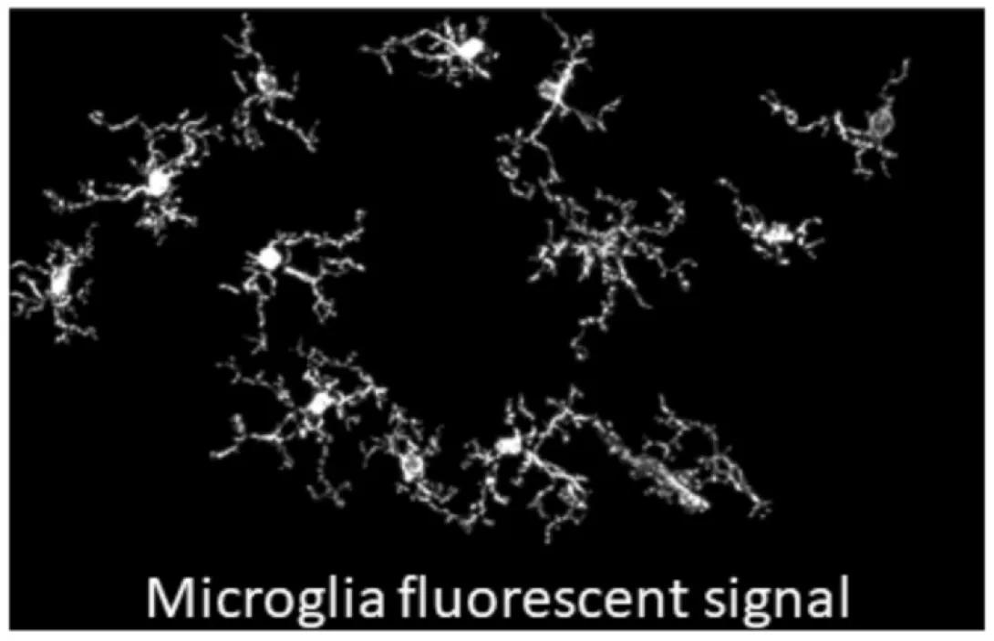 science imagery