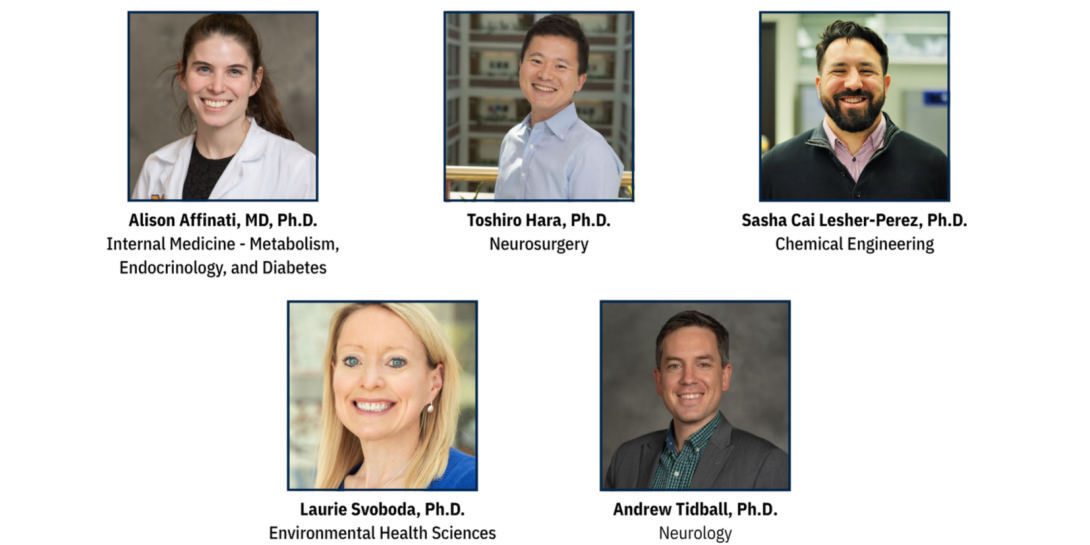 Director's Innovation Fund Awardees